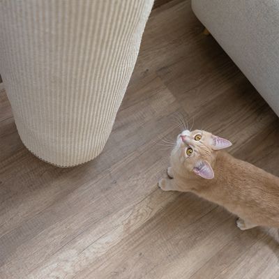 Wand Klettertau Für Katzen - Kletternetz Mit Ruhez Produktbild-Vorschau 8