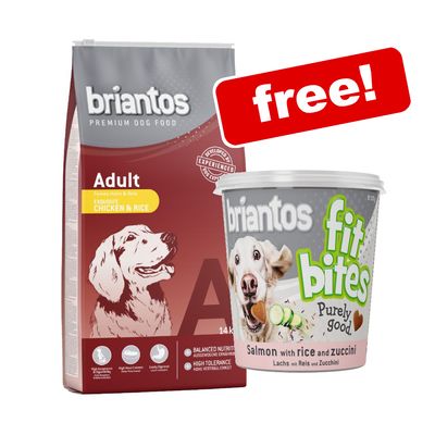 pro plan salmon and rice dog food 14kg