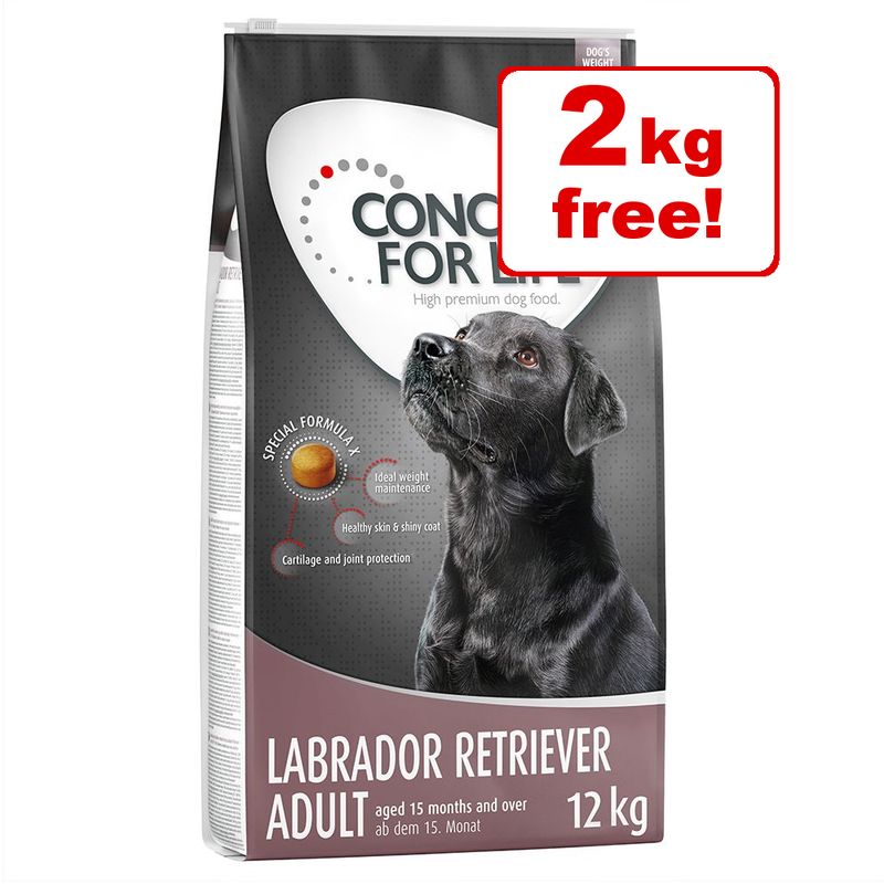 12kg Concept for Life Dry Dog Food 10 + 2kg Free!* reviews zooplus