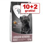 10 + 2 kg gratis! 12 kg Concept for Life Hondenvoer
