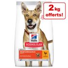 12 + 2 kg gratis! 14 kg Hill's Science Plan Hondenvoer