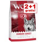 2 + 1 kg gratis! 3 kg Wolf of Wilderness Adult Red Classic