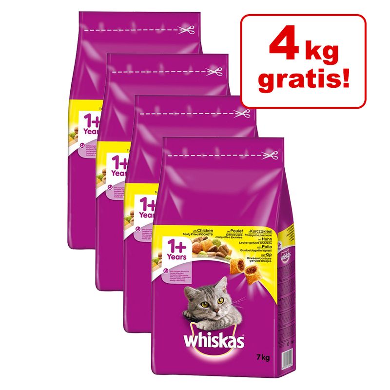 ferplast gerbil
