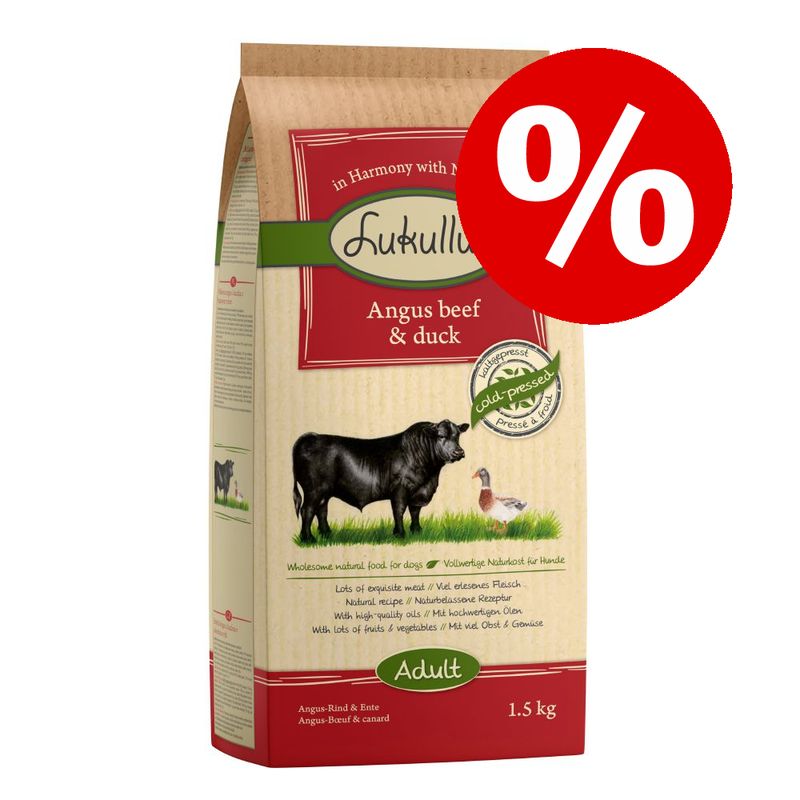 1.5kg Lukullus Dry Dog Food Special Price!* reviews zooplus