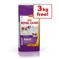 royal canin cheapest