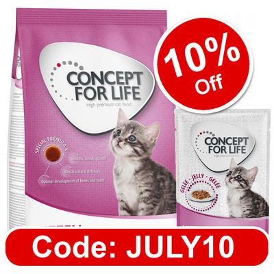 Kitten | Buy Now for Less at zooplus