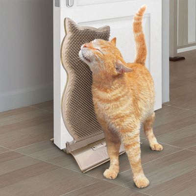 108500_kong_connects_kittycoomber_1stuck_hs_03_3.jpg