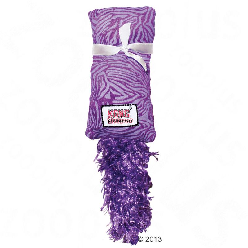 kong kickeroo kitten