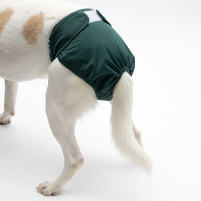 Verstellbare Hosenträger Für Hunde (Windelhalter) – 2 Stück, Größe L, Für Hündinnen