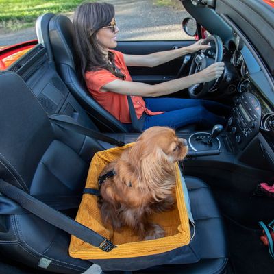 KURGO Skybox Dog Booster Seat till kanonpris  bitiba.se