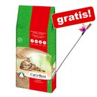 Welche Faktoren es bei dem Kaufen die Katzenstreu granulat zu beachten gibt!