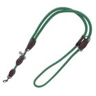Laisse Nomad Tales Spirit, vert pin pour chien