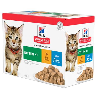 hills kitten wet food