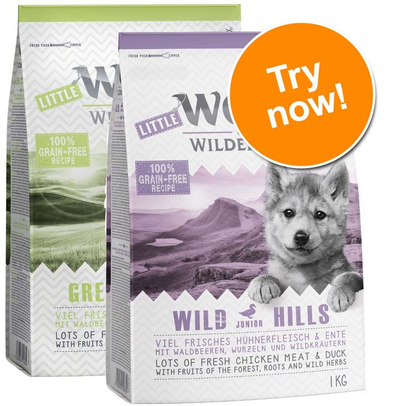 Wolf of wilderness puppy review Clearance