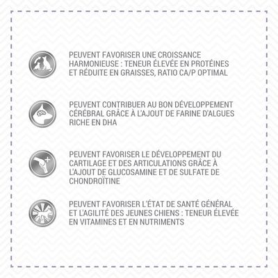 Little Wolf Of Wilderness Junior Wild Hills Canard Pour Chiot Zooplus Be