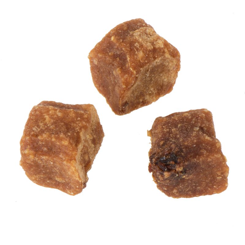 wolf of wilderness wild bites