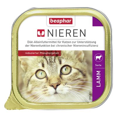 TÉLÉCHARGER BERCHER CHAT CHAT TÉLÉCHARGER BERCHER