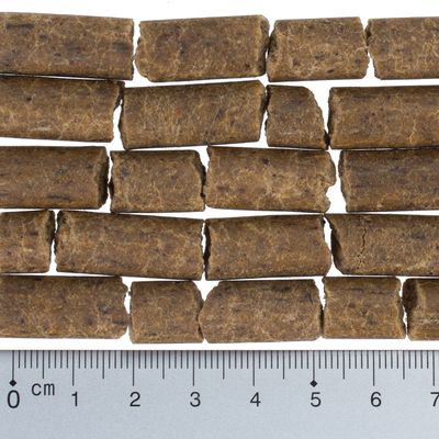 lukullus cold pressed dog food