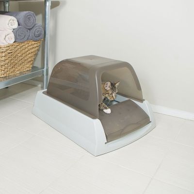 Maison De Toilette Scoopfree Ultra Pour Chat Zooplus Ch