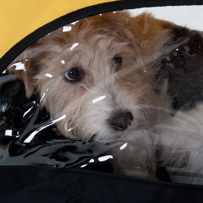 mini bee dog bike trailer