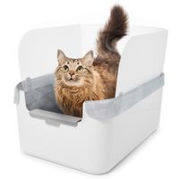 catty corner litter box