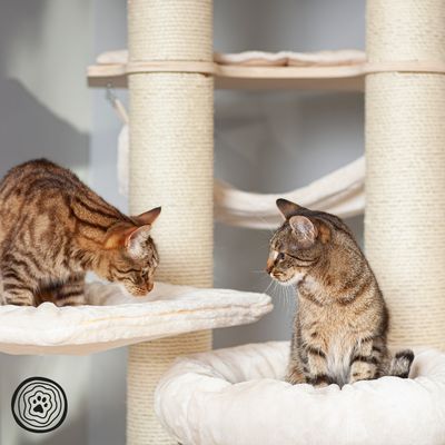 Natural Paradise Cat Tree Xxl Top Deals At Zooplus