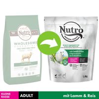 nutro choice adult