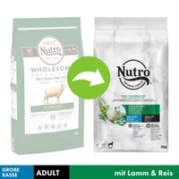 nutro choice adult