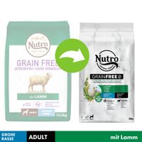 nutro choice adult