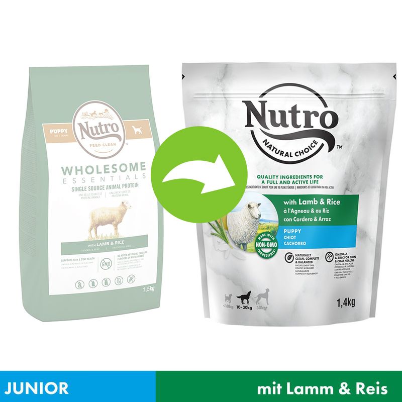 nutro large breed puppy lamb