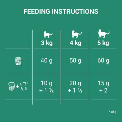 Nutro Wild Frontier Adult Salmon & Whitefish Dry Cat Food ...