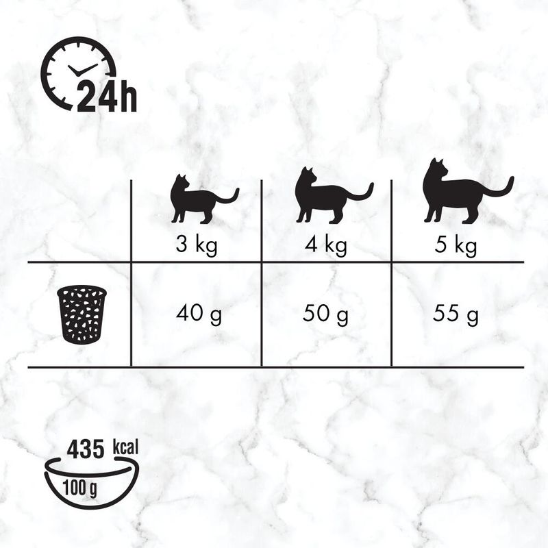 nutro wild frontier cat