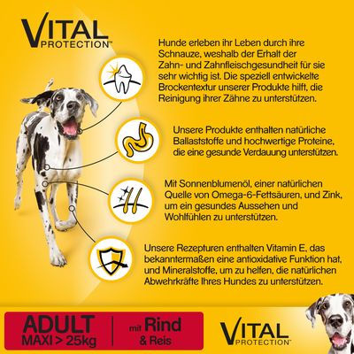 Pedigree Adult Maxi Rind Reis Trockenfutter Fur Hunde Zooplus
