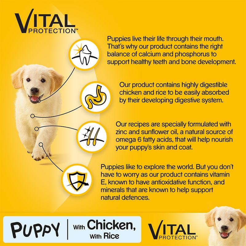 flea tick oral medication