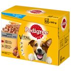 Pedigree Maaltijdzakjes Multipack
