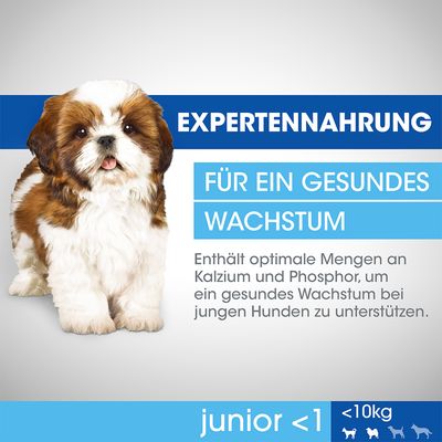Perfect Fit Junior Hund