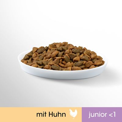 Perfect Fit Junior <1 kuracie