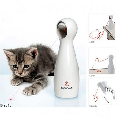 laserpekare katt farligt