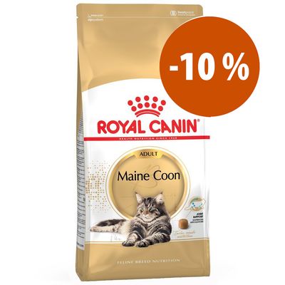 zooplus royal canin british shorthair