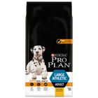 Welche Faktoren es vor dem Kaufen die Proplan hundefutter zu beurteilen gilt