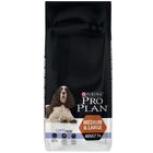 Pro Plan Medium & Large Adult 7+ Optiage - Kip & Rijst Hondenvoer