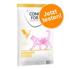 Probierangebot: Concept for Life Veterinary Diet 3 x 50 g
