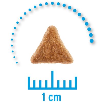 Probierangebot 6 X 200g Concept For Life Veterinary Diet Weight Control Gunstig Kaufen Zooplus