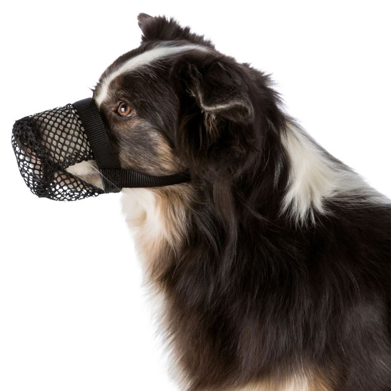 anti scavenging muzzle