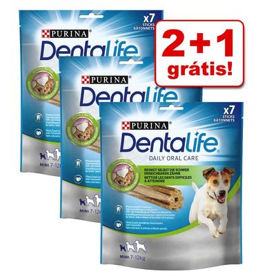 Purina Dentalife snacks para a higiene oral dos cães em promoção: 2 + 1 grátis!