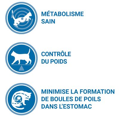 Purina One Chat Sterilise D Interieur Poulet Cereales Completes Croquettes Pour Chat Zooplus