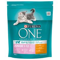 purina 1 kitten food