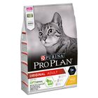 Purina Pro Plan Hrană uscată pisici, oferte la zooplus