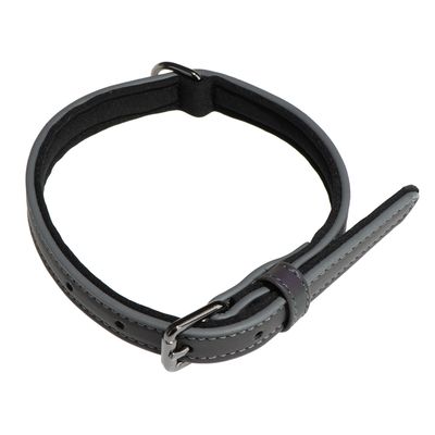 Rainbow Reflection Dog Collar Zooplus Co Uk