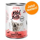 Rangliste der besten Karotten pellets für hunde bei durchfall